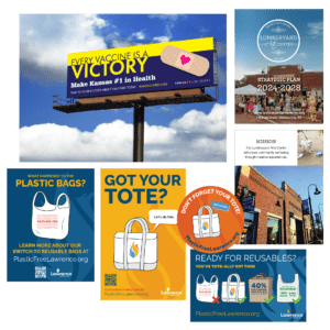 Coneflower consulting samples